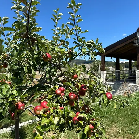 House Korita Сasa de vacaciones Podgorica