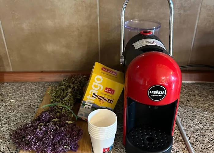 House Korita * Podgorica