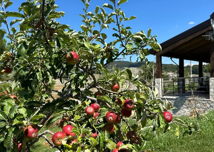 House Korita Сasa de vacaciones Podgorica