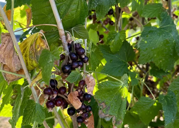 House Korita Σπίτι διακοπών